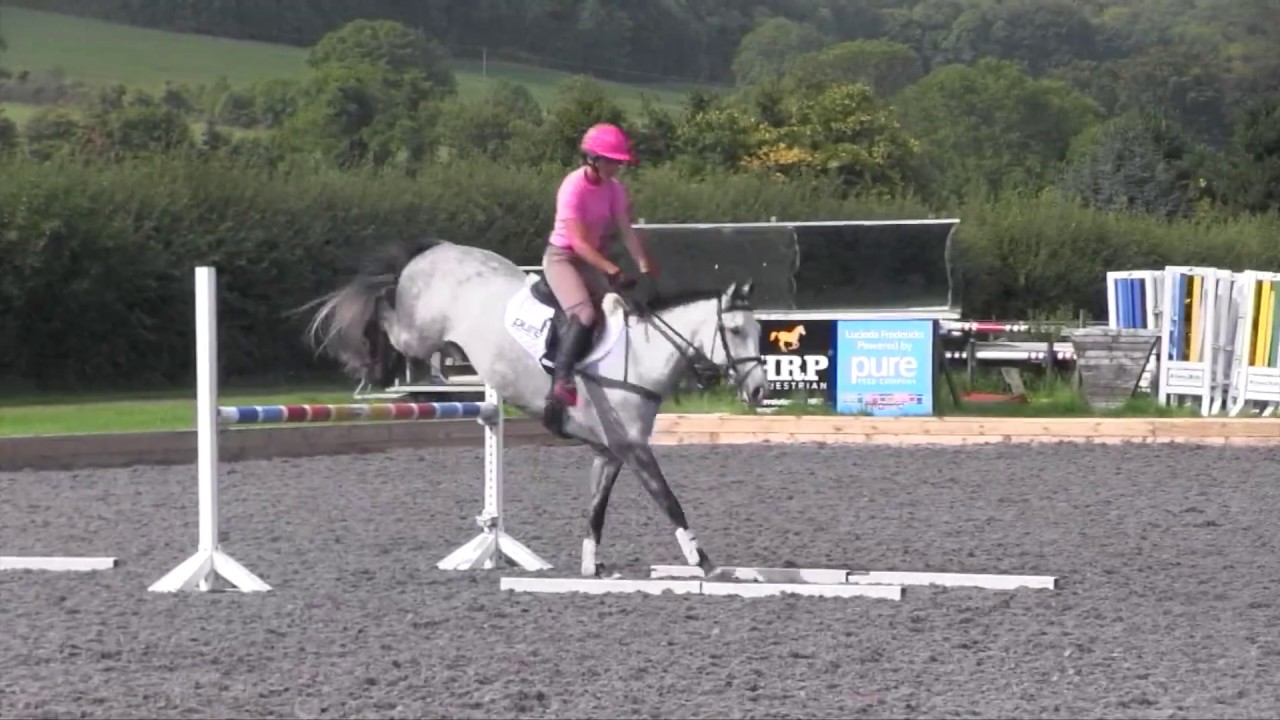 Horse&Rider Magazine &ndash; August 2018