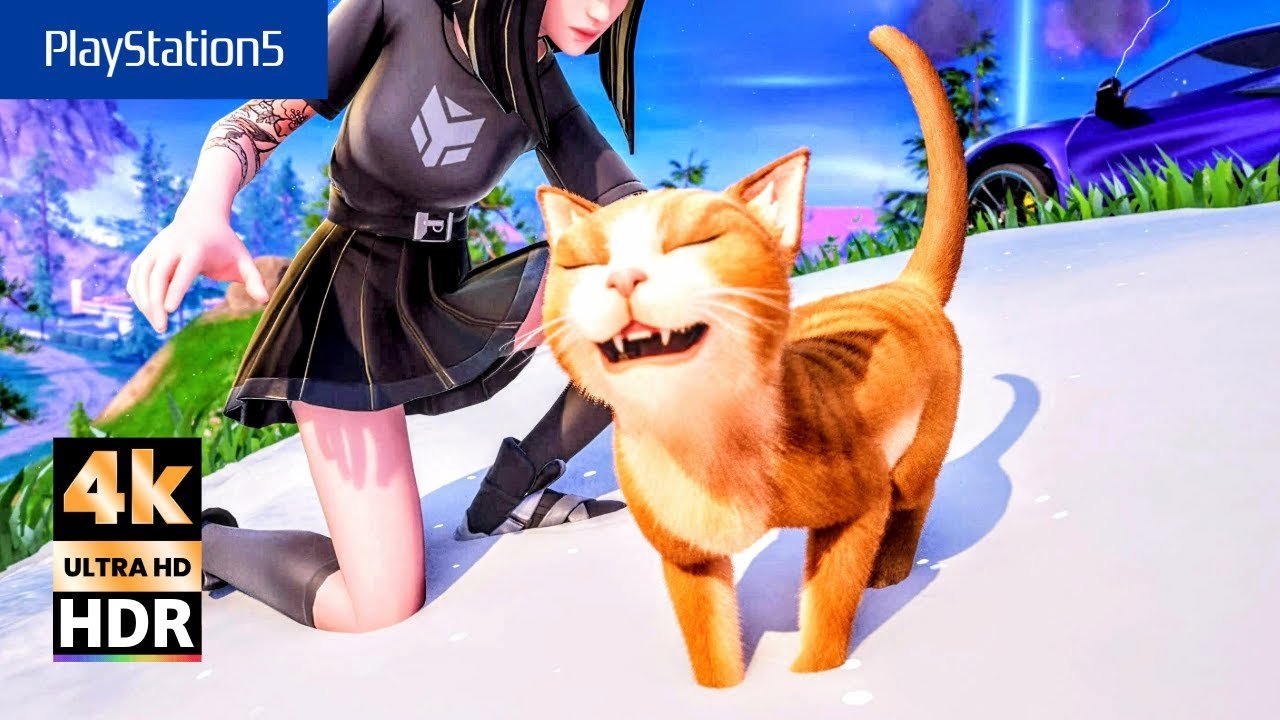 I petted the cat【Fortnite/Zerobuild】
