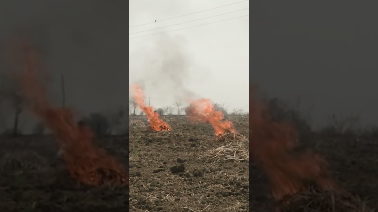 The leading cause of India&rsquo;s air pollution? Non-stop burning. #india #pollution #environment