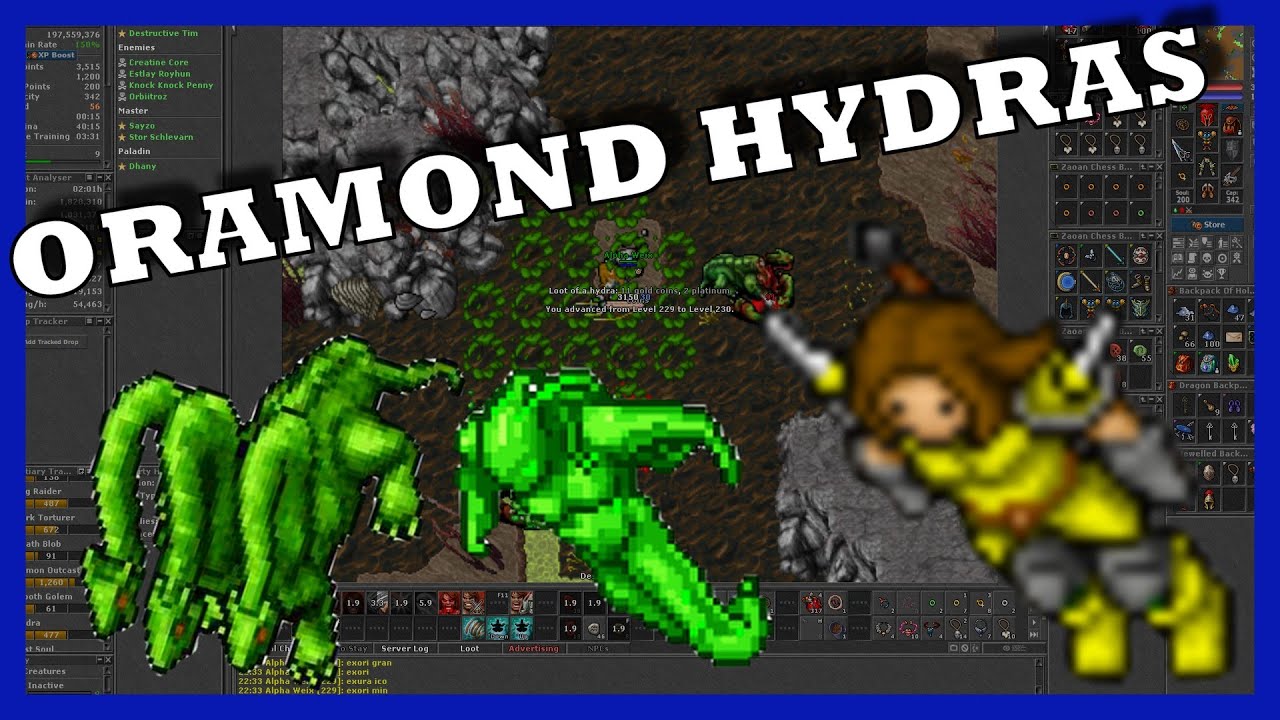 Best exp for knights | Oramond Hydras 80+