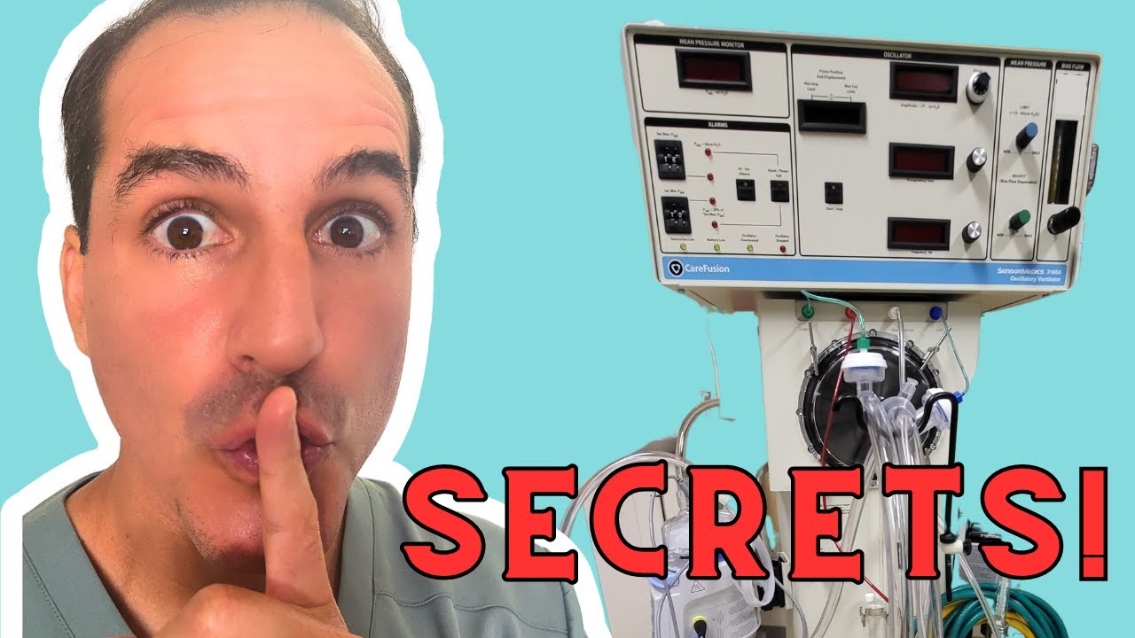 Unveiling the Secrets of the Oscillator: Beginners Guide Part I