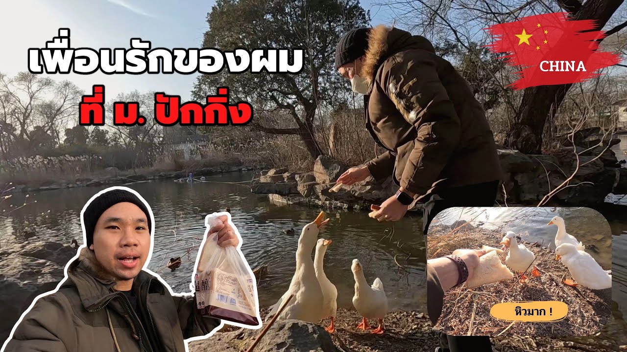 🇨🇳 ทำไมคนจีนชอบมาเที่ยว ม.ปักกิ่ง? แวะมาหาเพื่อน แต่กลับเจอเพื่อนทำแบบนี้… | PKU Vlog