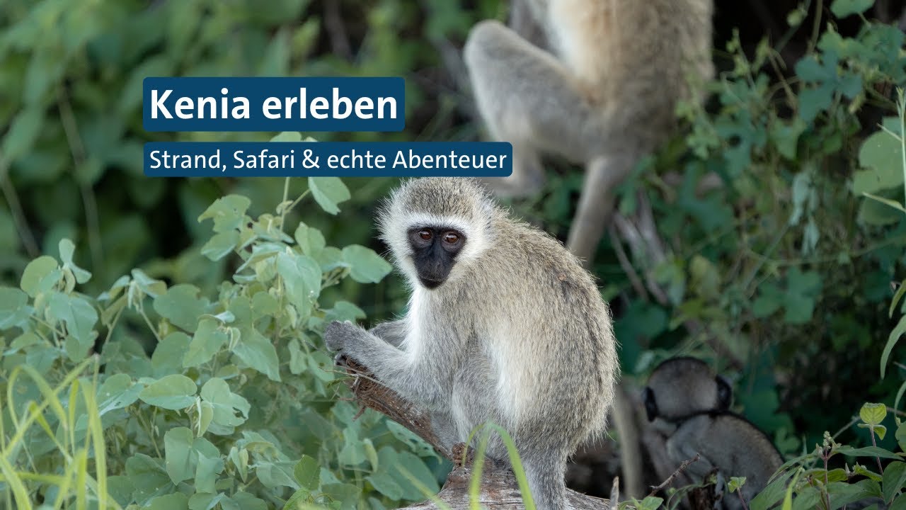 🌍 Kenia erleben mit alltours – Strand, Safari & echte Abenteuer | Mit @cariundhannes unterwegs 🐘🏝️