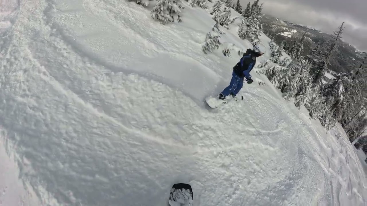 Bachelor day 3 powder