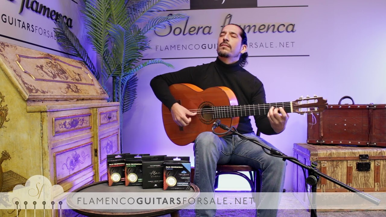 Pedro Maldonado 1975 flamenco guitar for sale played by José Andrés Cortés