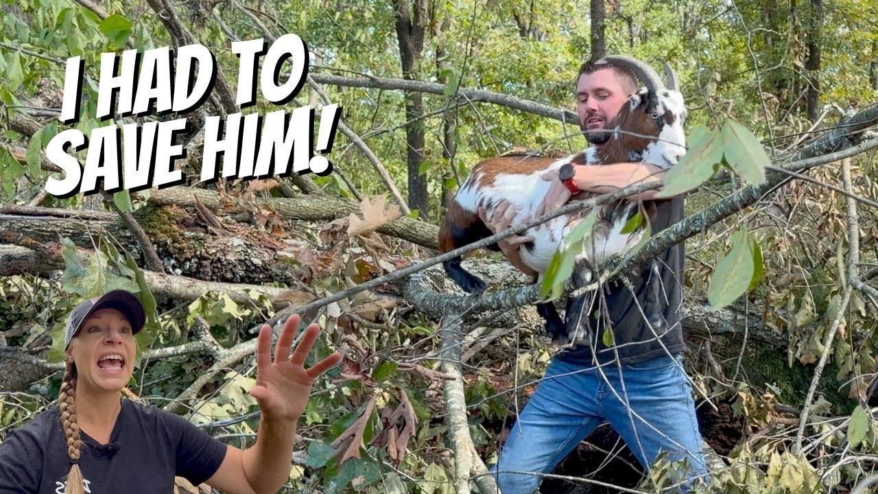 Он застрял и был напуган — нам пришлось действовать быстро!