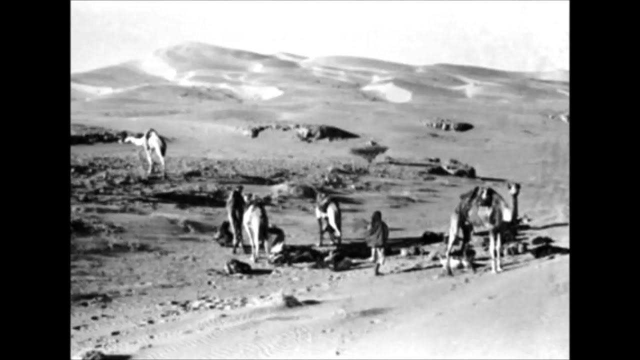 جراح السعيدي قصيده القبائل