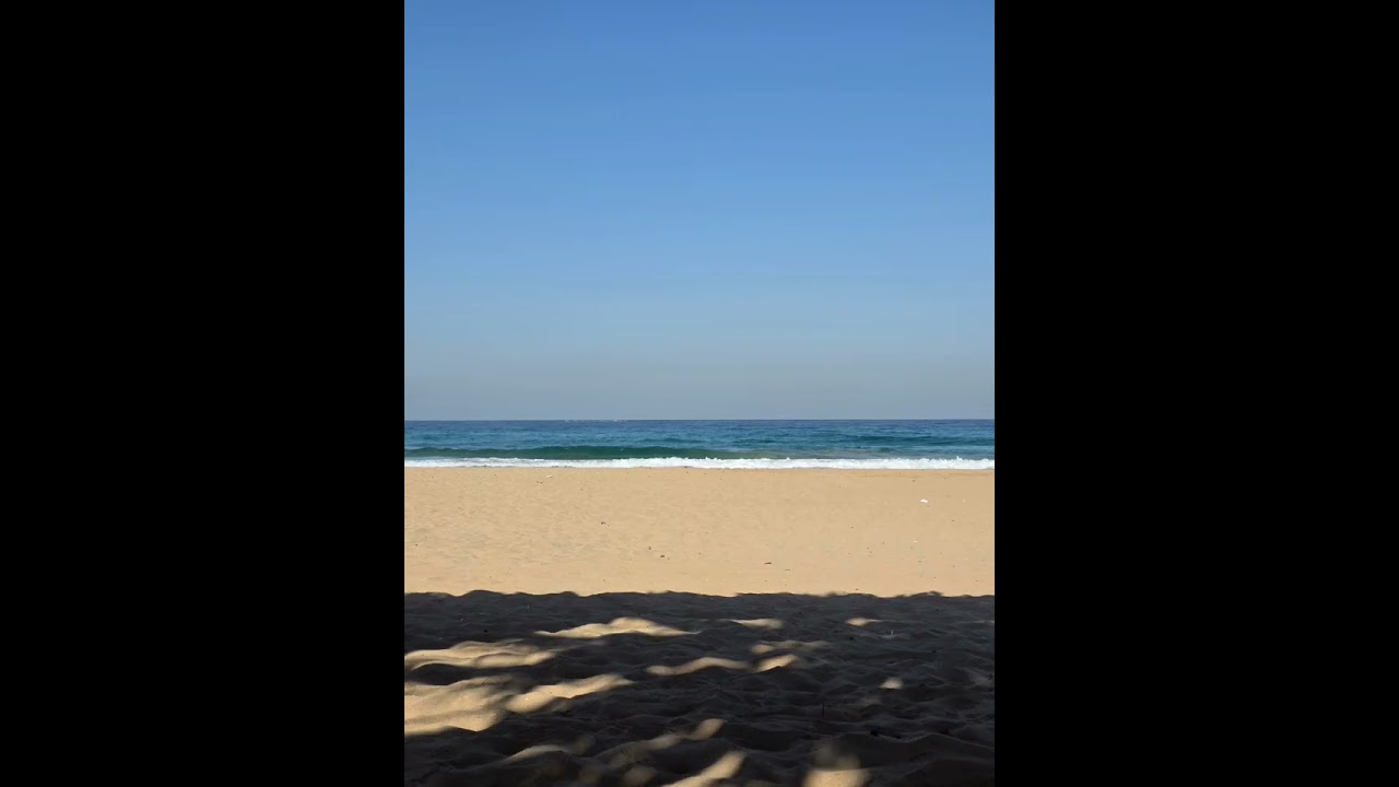 הדרכה + מדיטציה לשנה החדשה - אביטל שניאור מחוברת לגוף