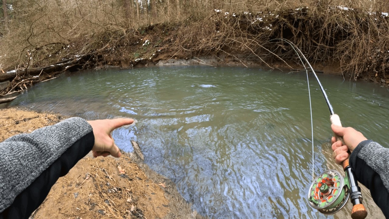 This Tiny Creek Is Hiding MONSTERS!!!