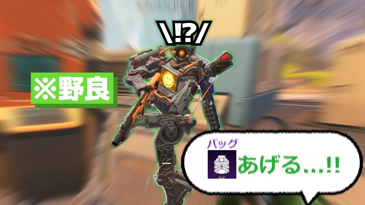 一々反応が可愛い野良パス【APEX】