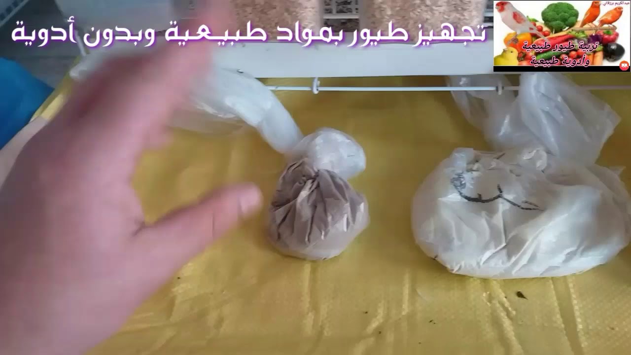 تجهيز طيور بمواد طبيعية وبدون أدوية