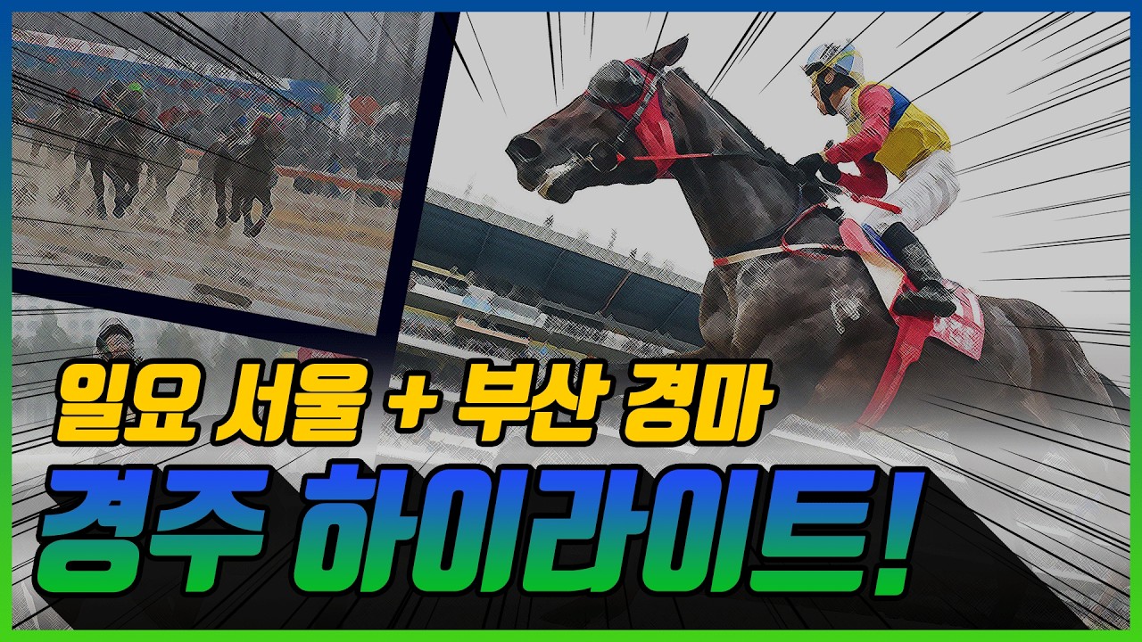 [일요 경마] 2026년 4월 5일 일요 경주 하이라이트 #경마 #한국마사회 #하이라이트