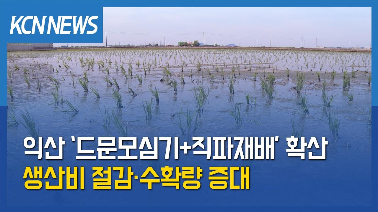 [금강방송] 익산 ‘드문모심기+직파재배’ 확산…생산비 절감·수확량 증대