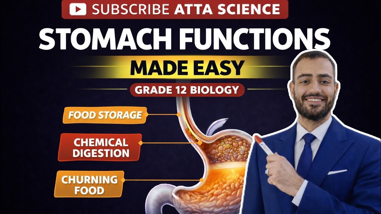 Grade 12 Biology| Unit 1 Lecture 4 | Master the Functions of the Stomach | MDCAT Preparation 