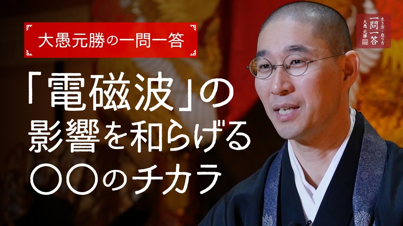 「電磁波」の影響を和らげる○○の力