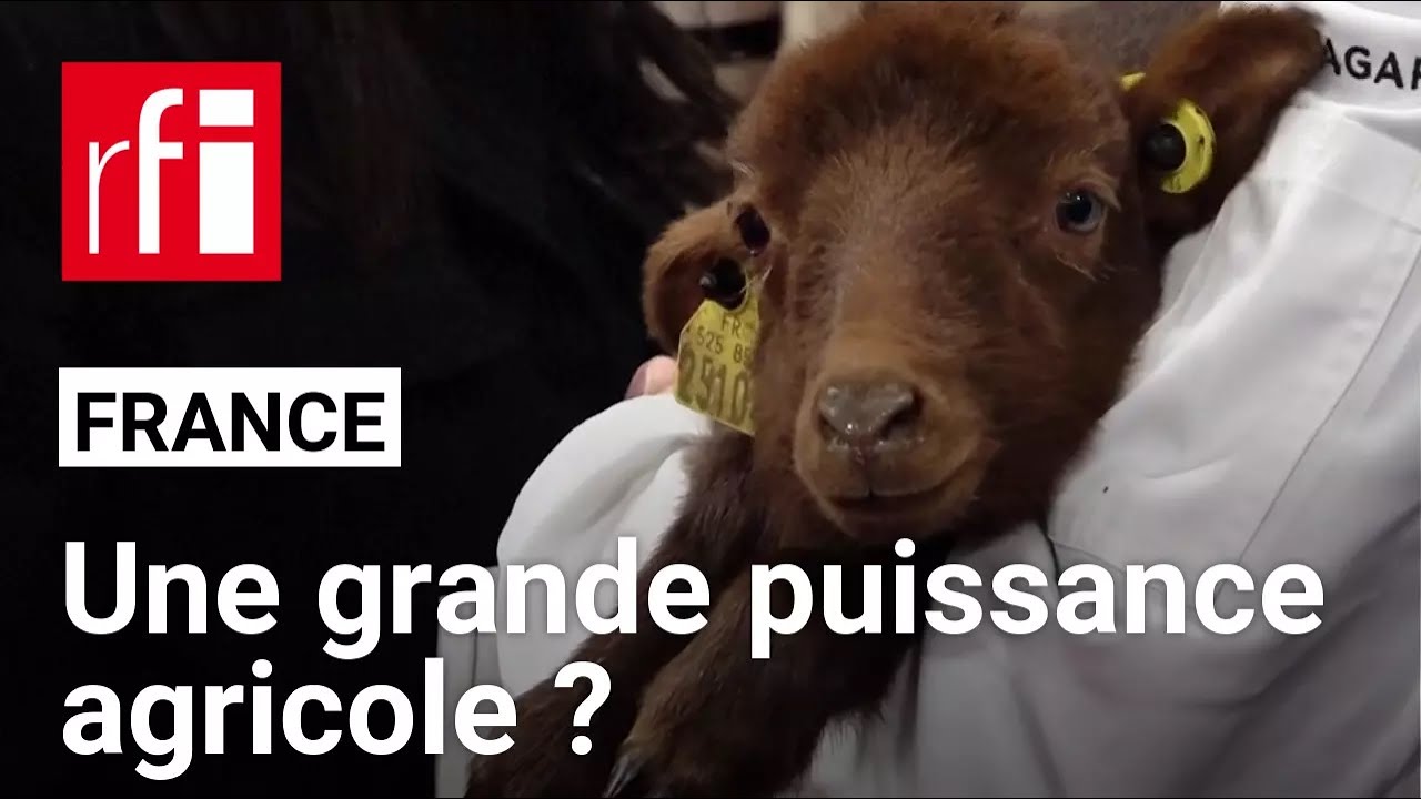 La France est-elle encore une grande puissance agricole ? • RFI