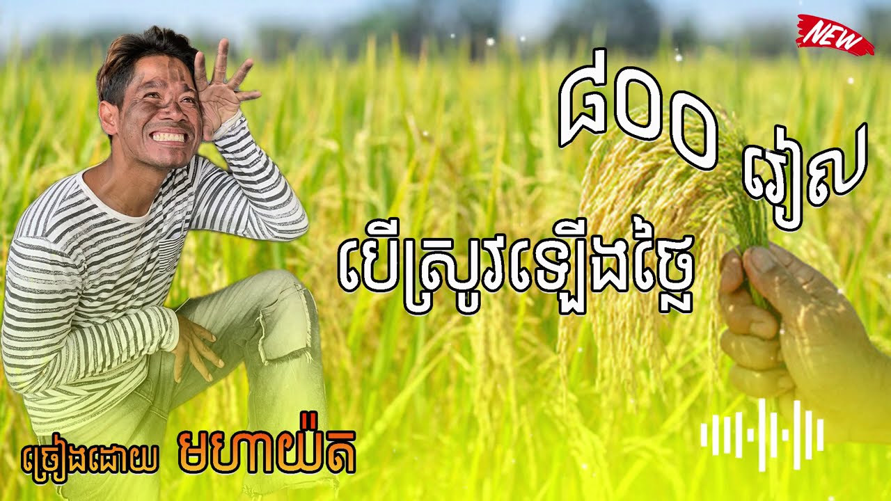 បទ ថតថ្មី បើស្រូវឡើងថ្លៃ ច្រៀងដោយ មហាយ៉ត ORKADONG COVER SONG NEW 2026