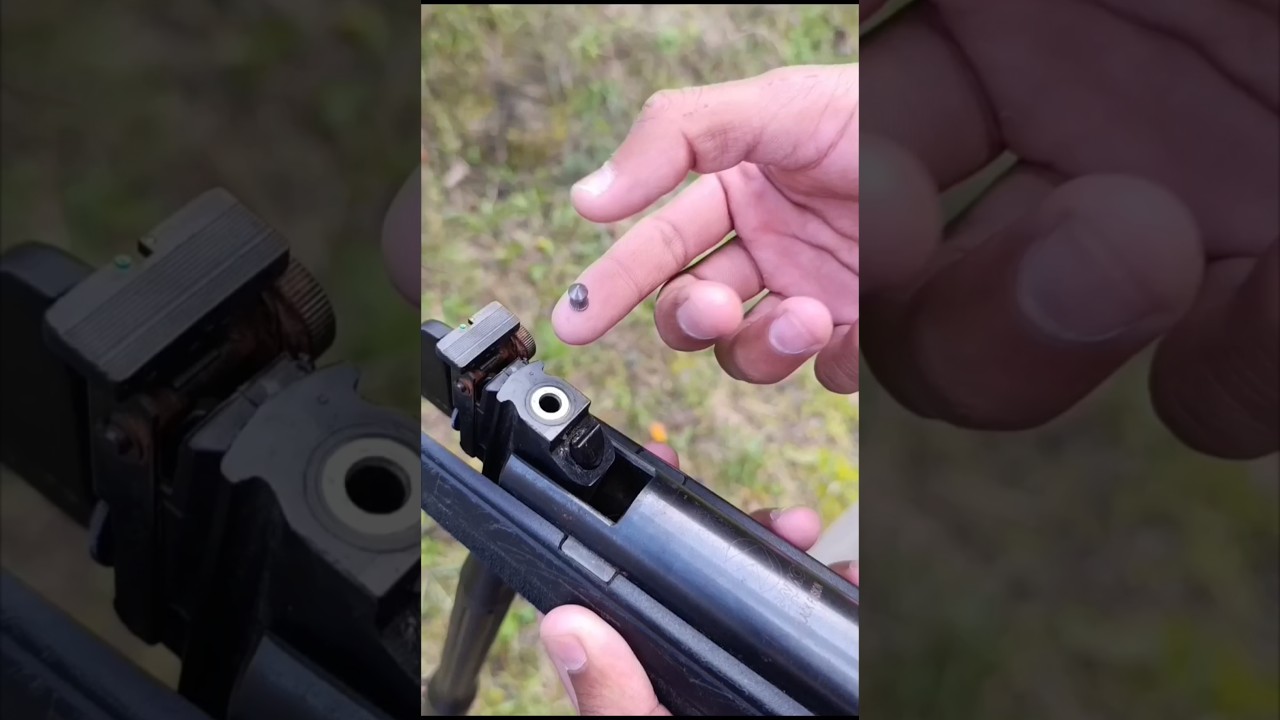 Airgun shot hunting wild birds #birdhunting #airgunhunters #airgun