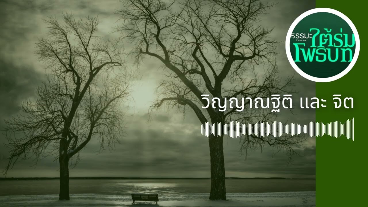 วิญญาณฐิติ และ จิต [6909-3d]