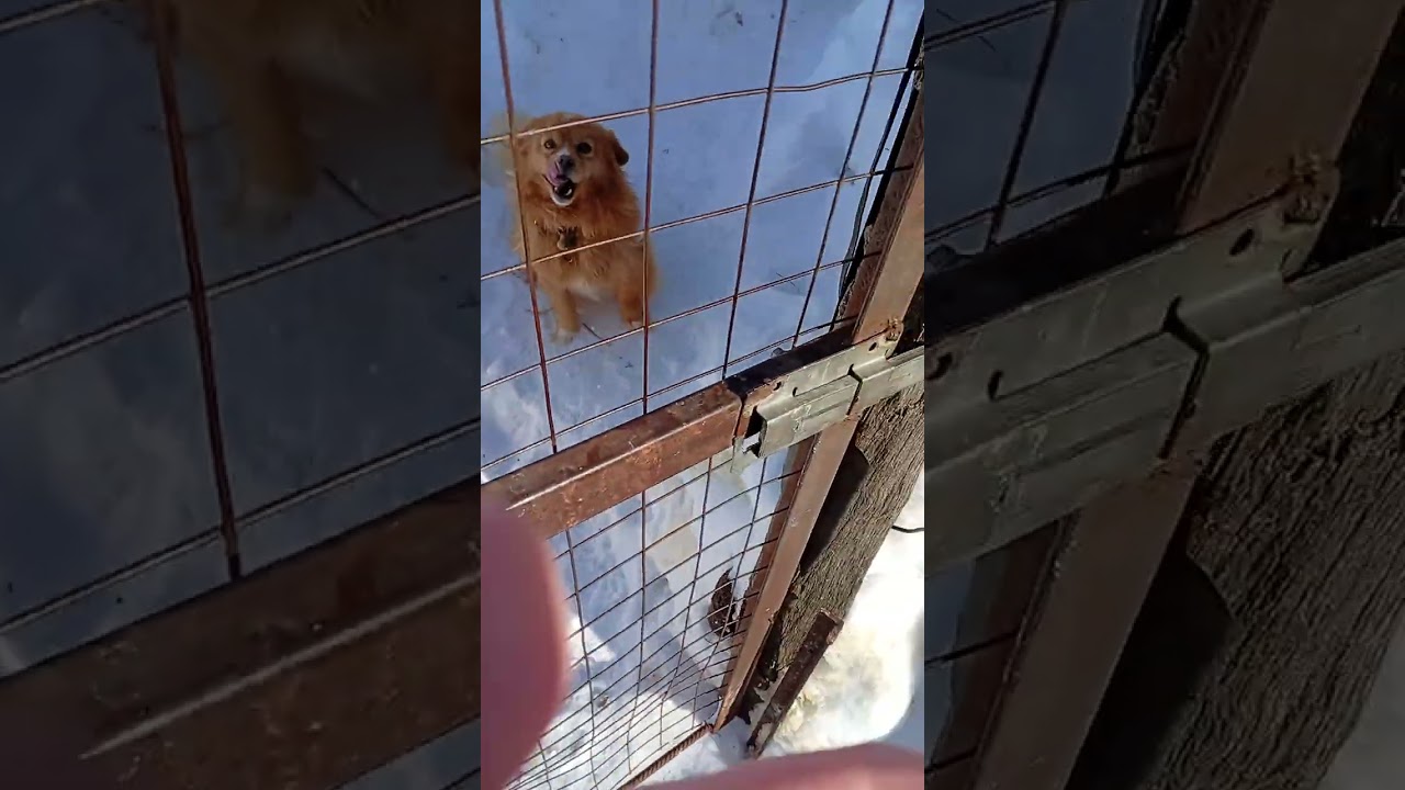 Видео на улице на 120 подписчиков.