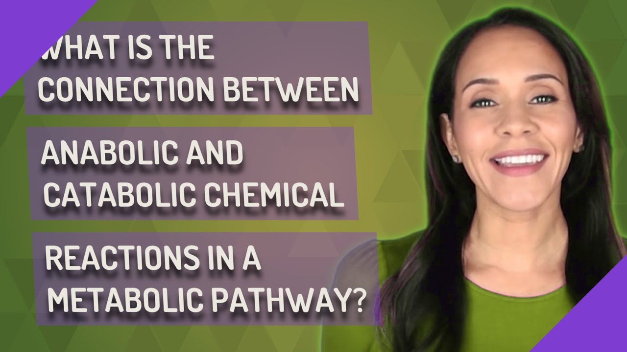 What is the connection between anabolic and catabolic chemical reactions in a metabolic pathway?