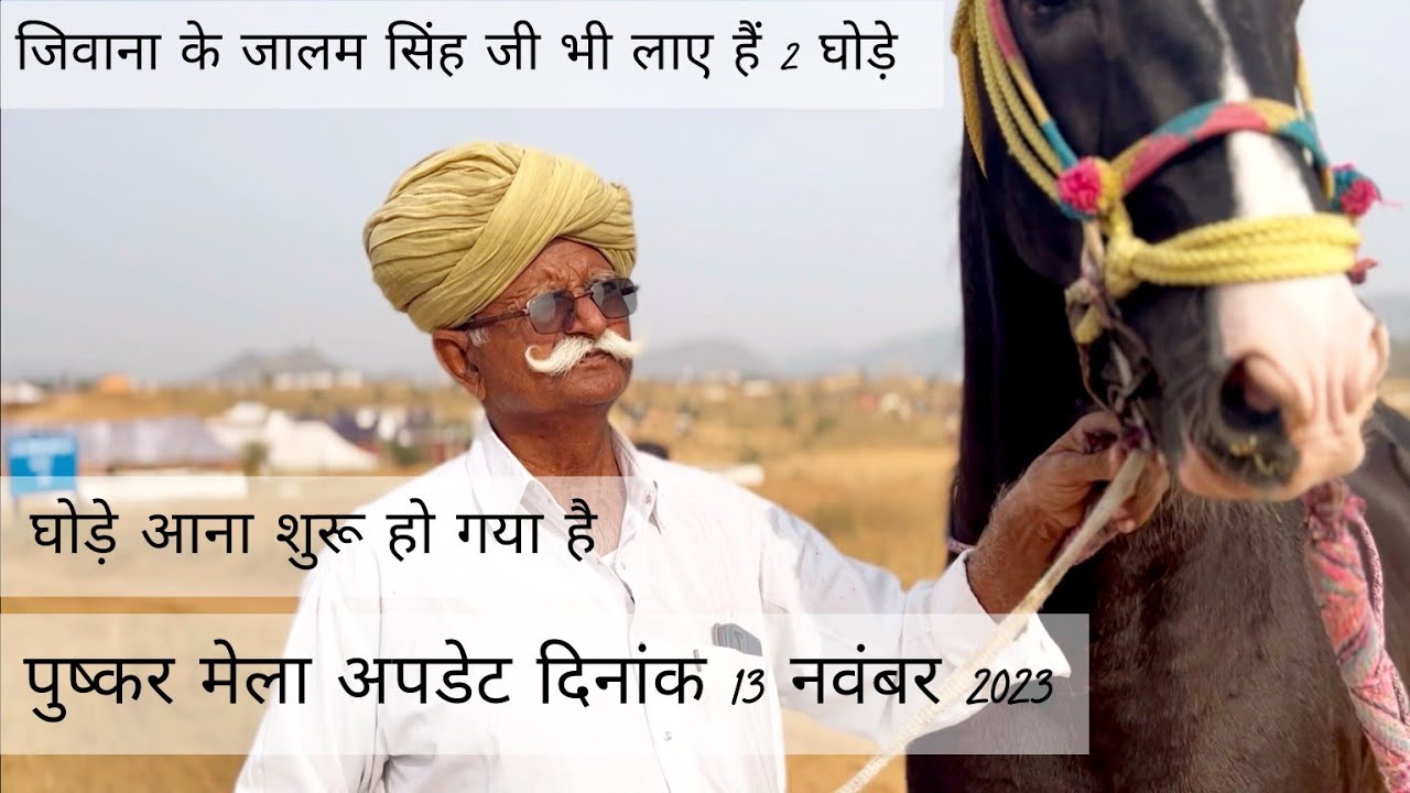 जिवाना से जालम सिंह जी लाए दो घोड़े ,पहली बार आये हैं पुष्कर में.