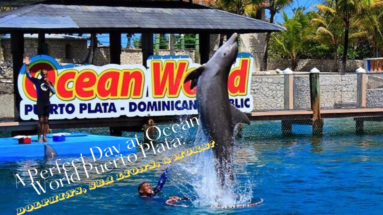 A Perfect Day at Ocean World Puerto Plata: Dolphins, Sea Lions, & More!