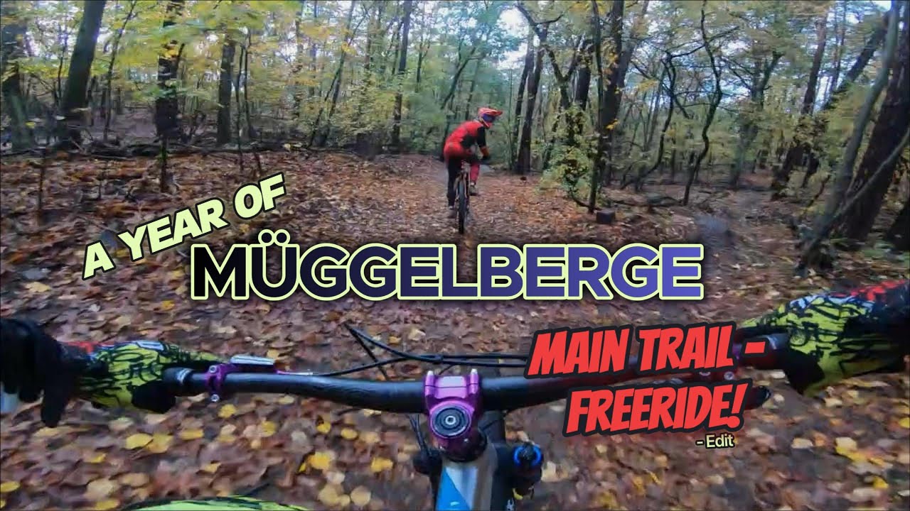 A Year of Müggelberge - Main Trail Freeride Berlin