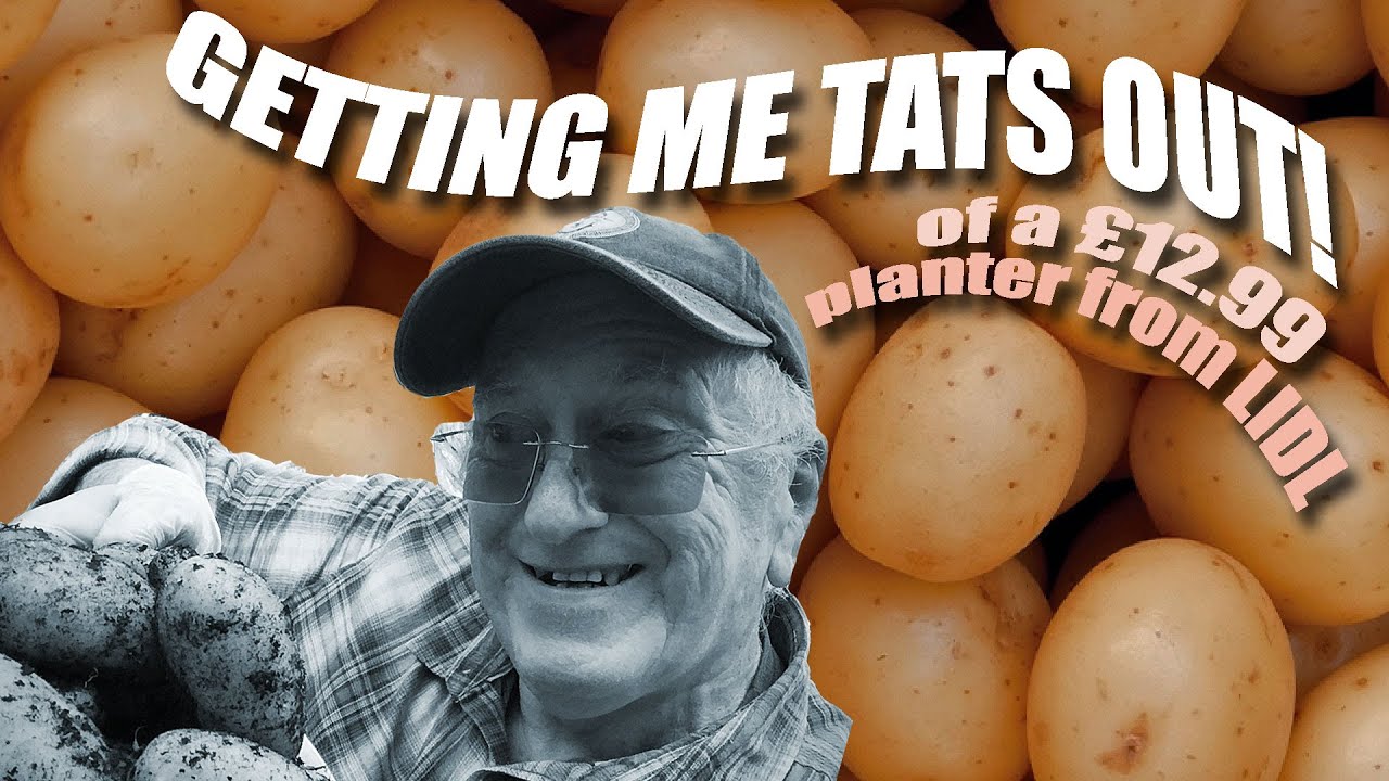 I WAS AMAZED!! | Potato Planter | LIDL Supermarket