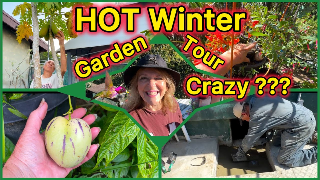 Garden Tour Tons of Growing TIPS 