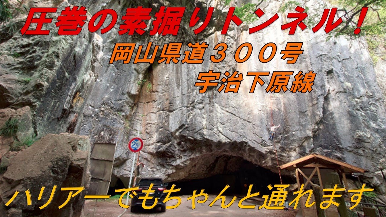【番外編】圧倒的存在感の県道素掘りトンネル！【岡山県道300号】宇治下原線★険道（岡山県高梁市）