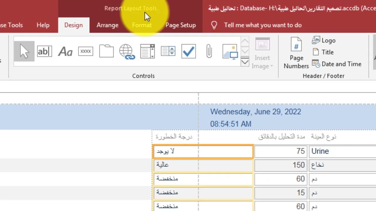 ادراج وتنسيق التقارير اكسيس