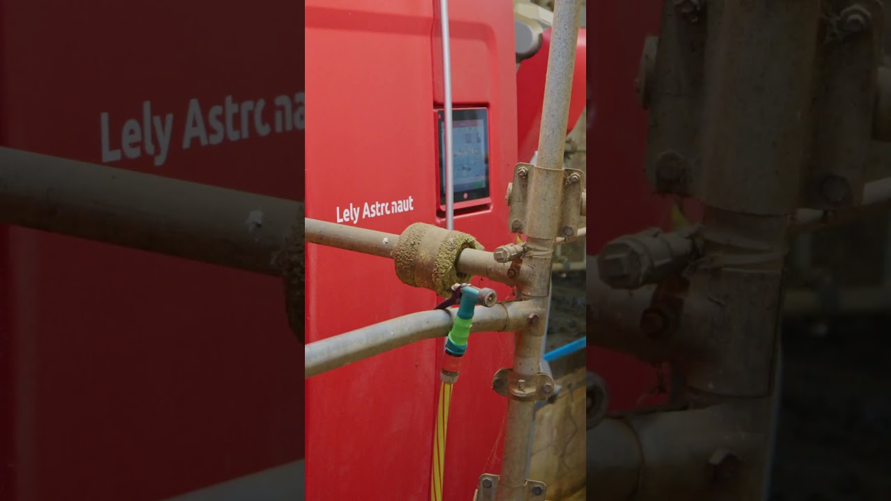 Lely Astronaut A5 im alten Melkstand
