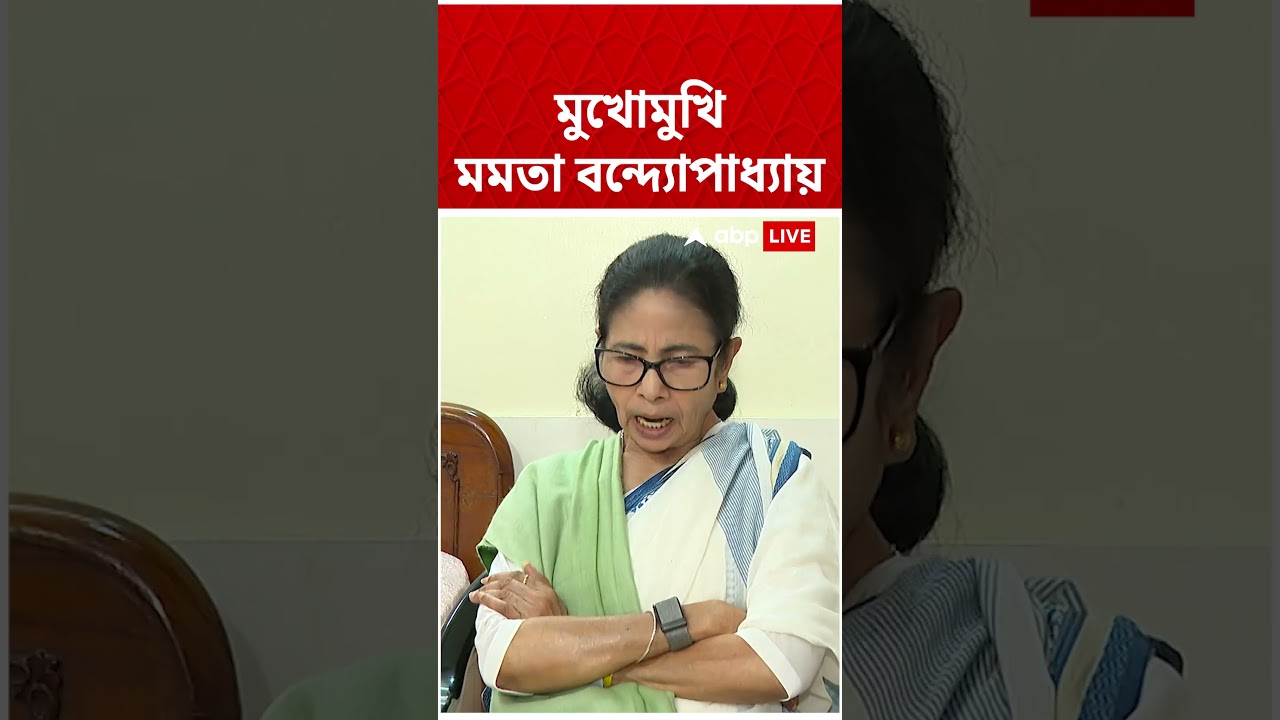 'বই লিখে যেটুকু পাই, তাতেই চলে যায়', জানালেন মমতা বন্দ্যোপাধ্যায়  #mamatabanerjee  #shorts