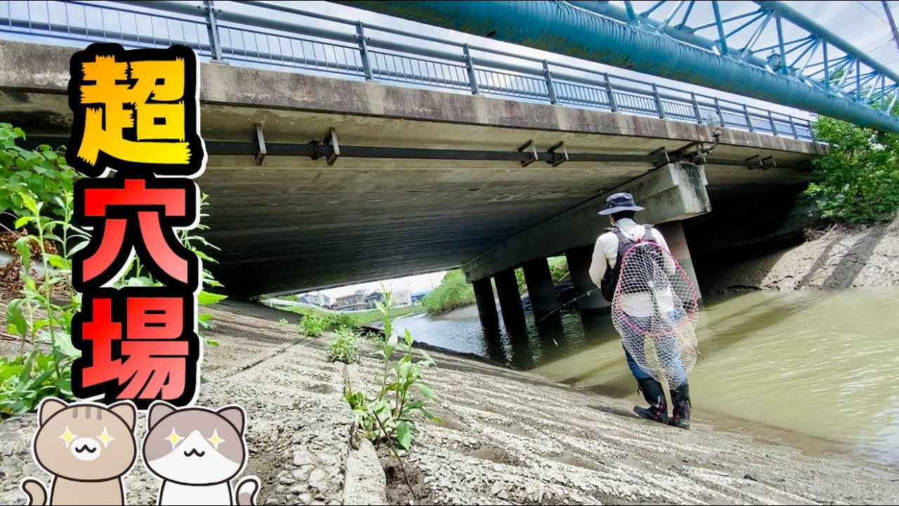 【初公開】こんなところでシーバスが釣れすぎる！足元ドババババババァッ‼【リバーシーバス】