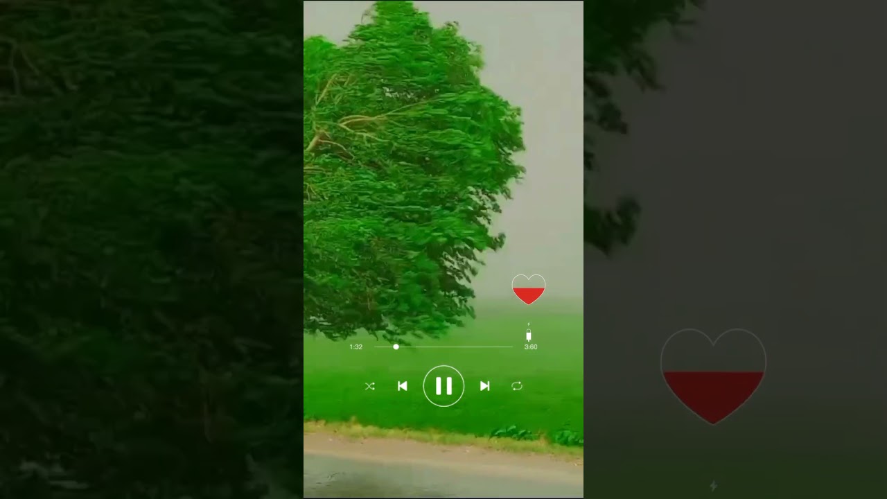 Surah Al Ekhilas Mashari Rashid Al fasi new tilawat
