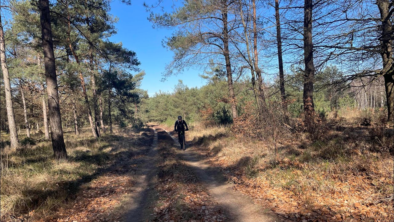 Kroondomein het loo 2023 Gravel