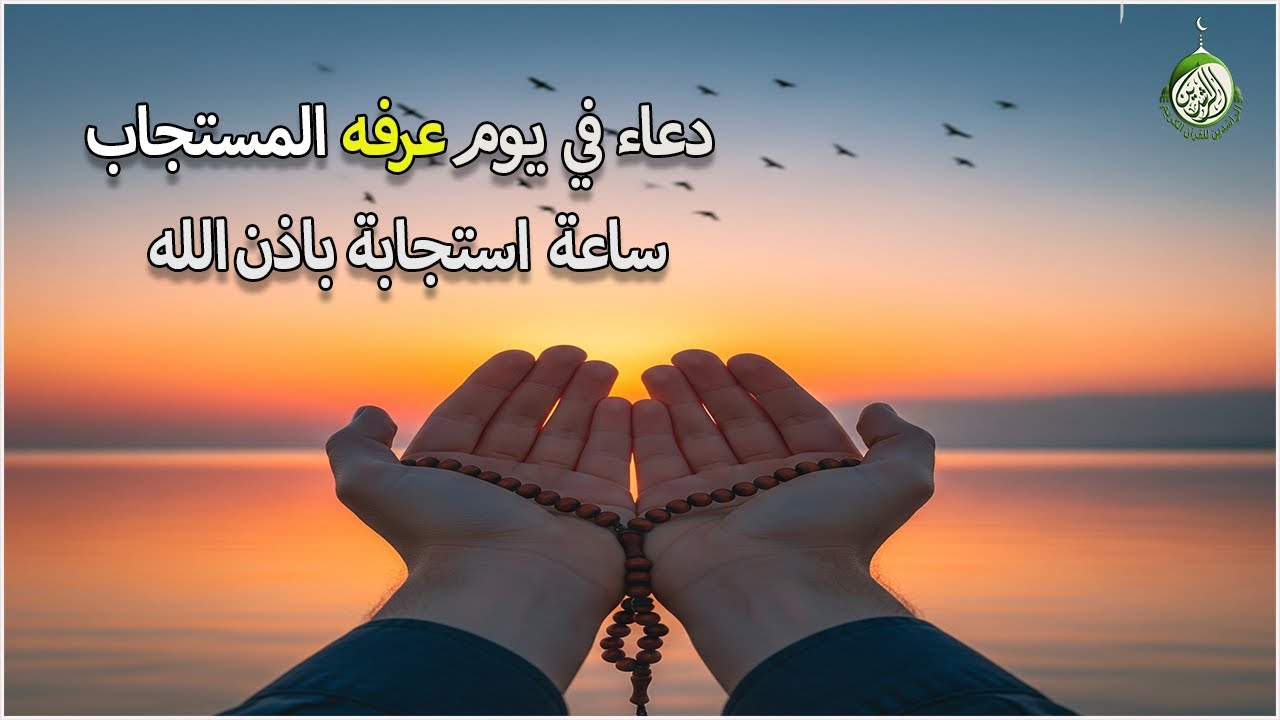 دعاء فى يوم عرفه المستجاب يوم الخميس 9 من شهر ذو الحجه المبارك للرزق والشفاء العاجل وقضاء الحوائج💚