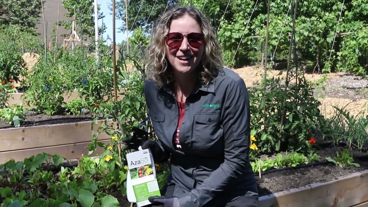 Protecting Your Garden With Azasol
