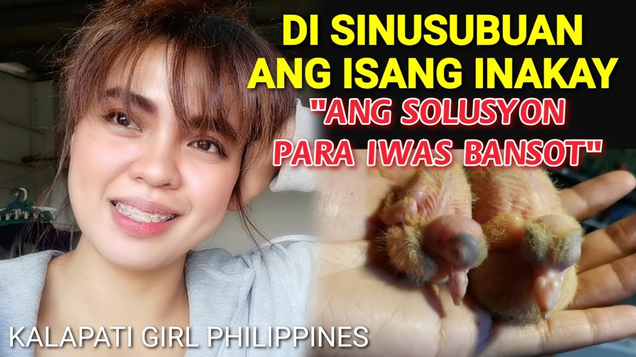 DI SINUSUBUAN ANG ISANG INAKAY?ETO ANG DAPAT GAWIN |KalapatiGirlPhilippines