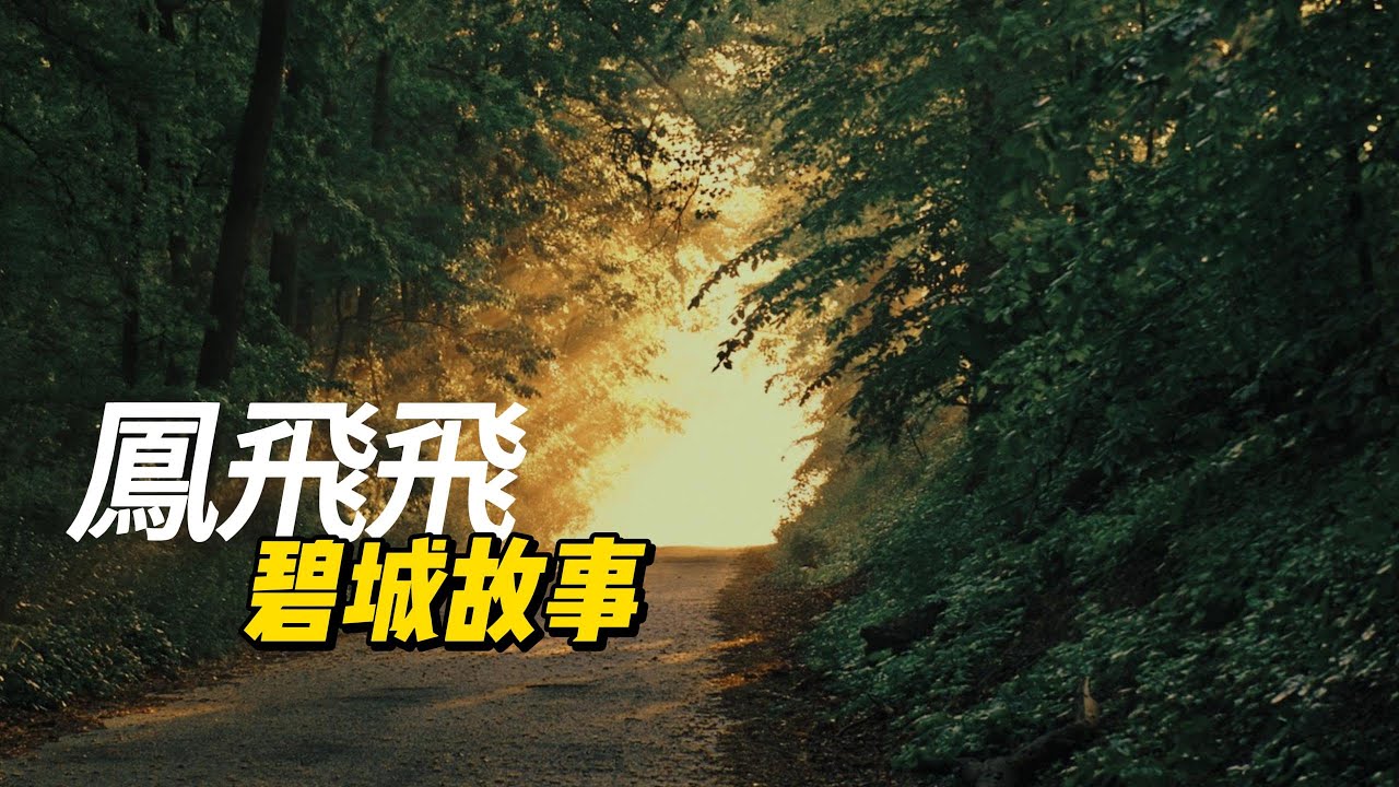 鳳飛飛-碧城故事#鳳飛飛 #珍藏 【動態歌詞/Lyrics Video】