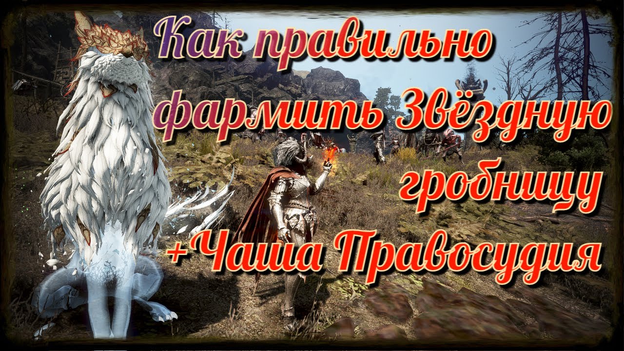 Black Desert / BD: Как правильно фармить Звёздную Гробницу + Чаша Правосудия