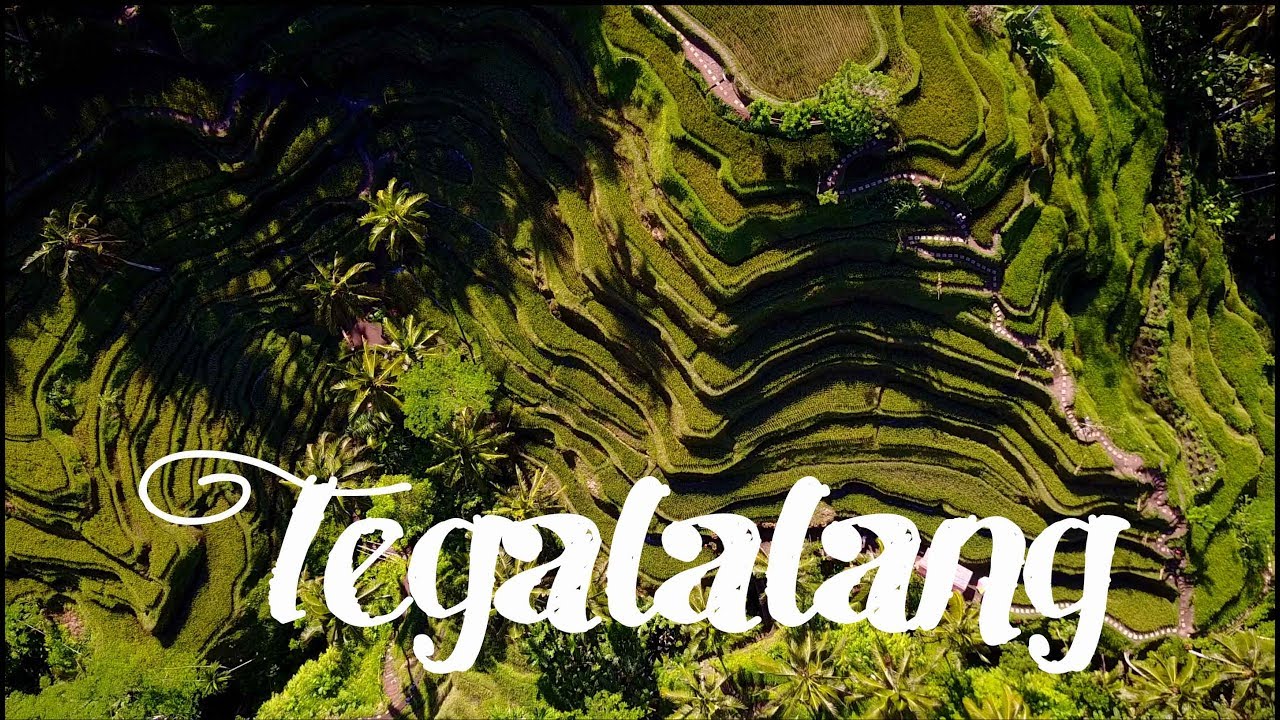 Bali rice terraces - Travel Ubud ULTRA HD DRONE