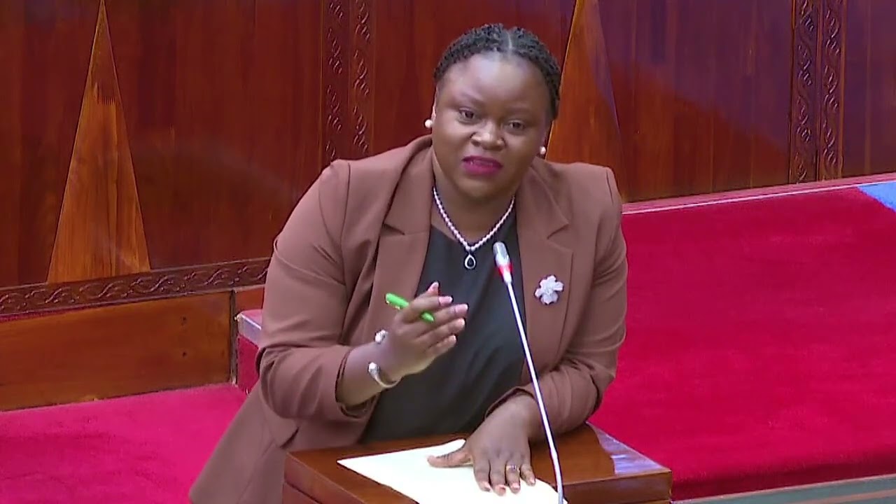 SHULE 216 ZA SERIKALI ZATUMIA NISHATI SAFI YA KUPIKIA-KAPINGA
