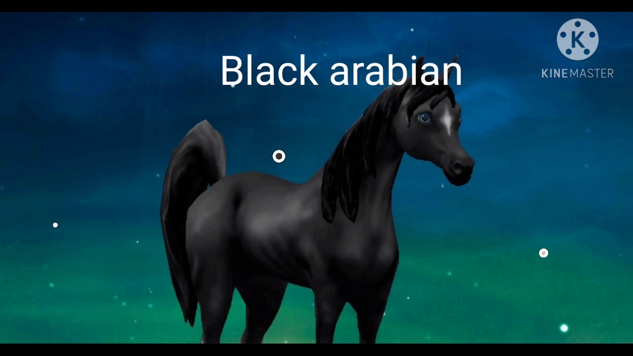 Horse Riding Tales horses v.s Real Horses