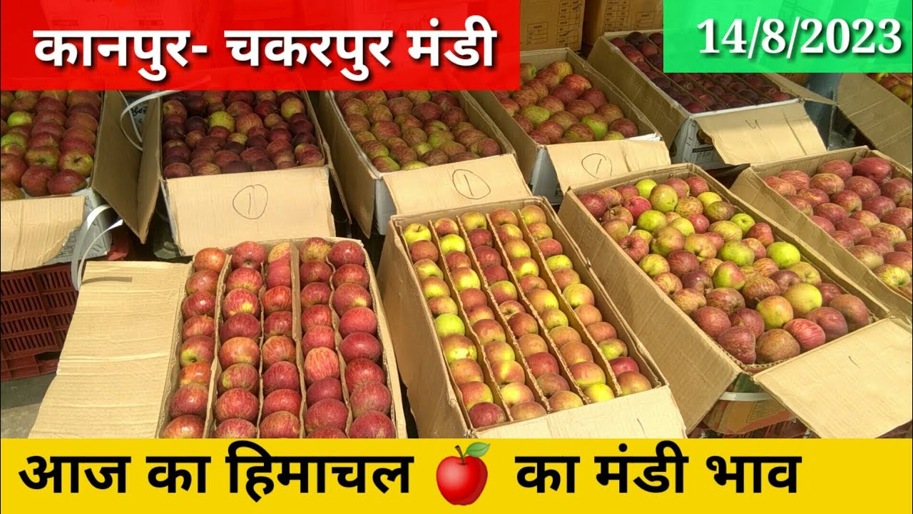 आज का हिमाचल का सेब का मंडी भाव कानपुर/apple price today kanpur mandi