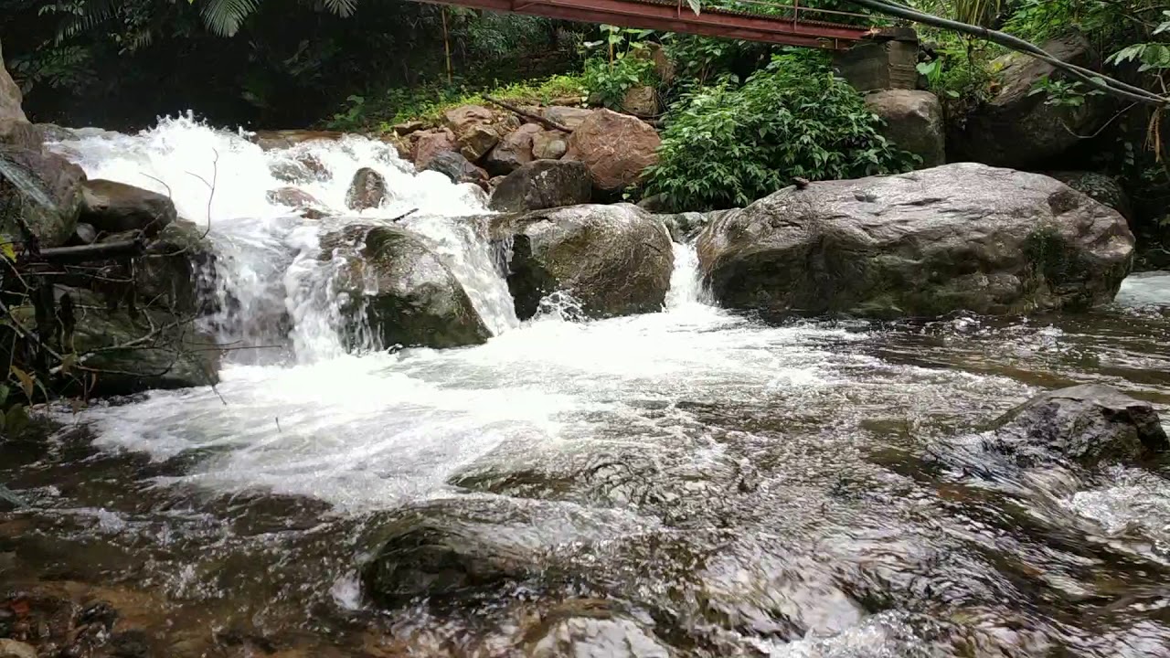 Awesome Home Stay in Vagamon Route | Private Waterfall #vagamon #travelvlog #waterfall #naturelovers