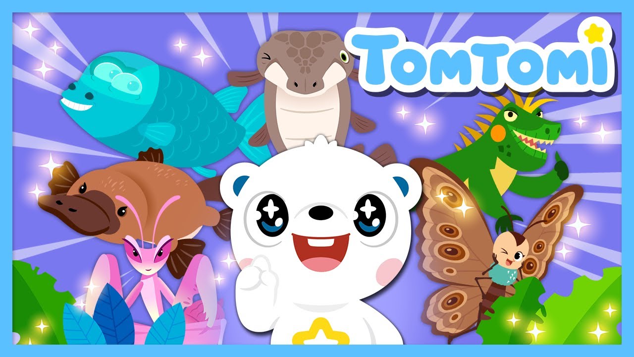 Criaturas Curiosas del Planeta 🌍🦜🪲 | Canciones de la Naturaleza Sorprendente 🎶 #TOMTOMI
