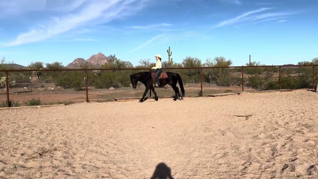 Class 112 March Ranch Pleasure - RCR Harley/ Nicole Olmedo