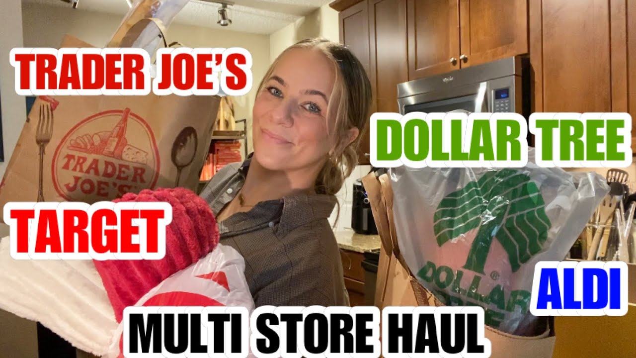 MULTI STORE HAUL | DOLLAR TREE | TRADER JOES | ALDI | TARGET